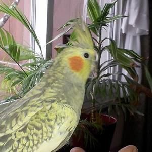 Meet your Posher, Marcy